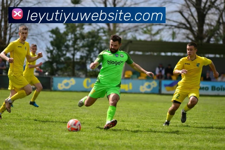 App Interface Preview