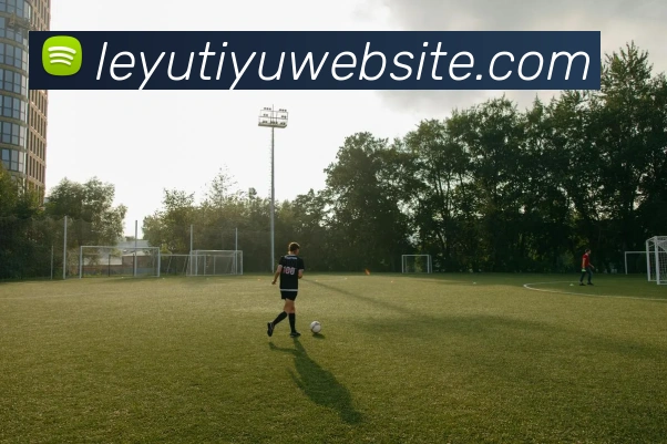 乐鱼体育APP 封面图